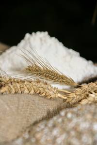 Getreide und Mehl 116